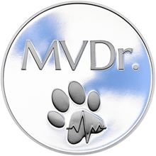 MVDr. - Titulárna medaila strieborná