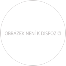 Náhled - 2025 - 10 dukát - 700. výročí zahájení ražby prvních českých zlatých mincí Janem Lucemburským